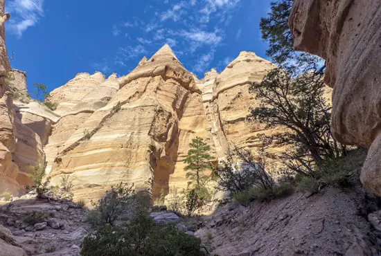 New Mexico