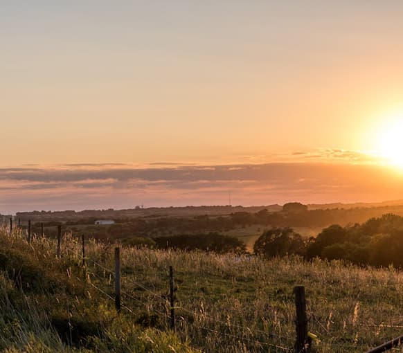 IDR help by arbitration experts