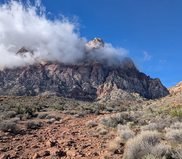 IDR help by arbitration specialists